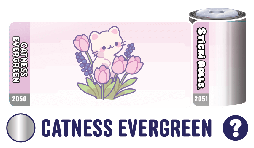 Catness Evergreen